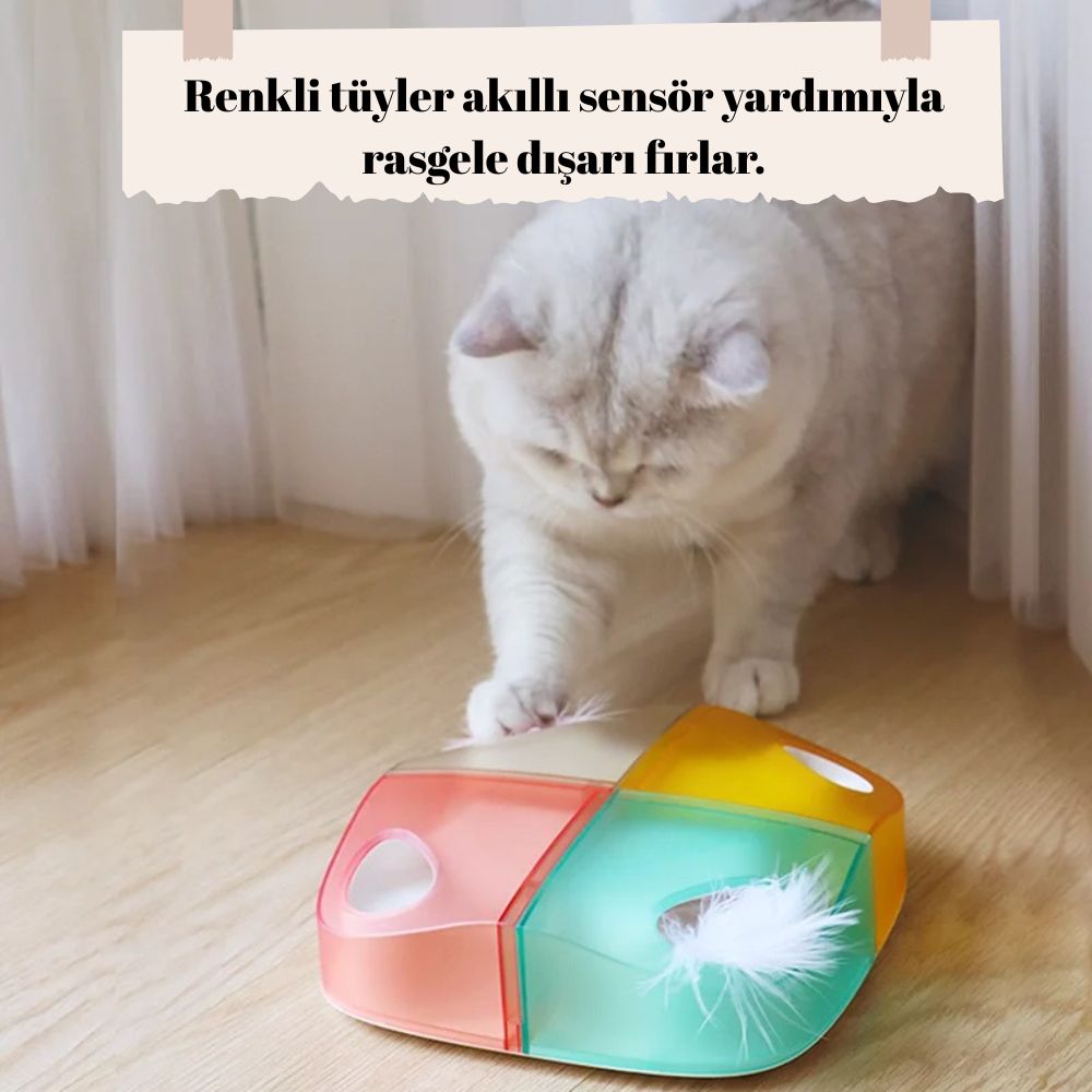 İnteraktif Akıllı Kedi Oyuncağı