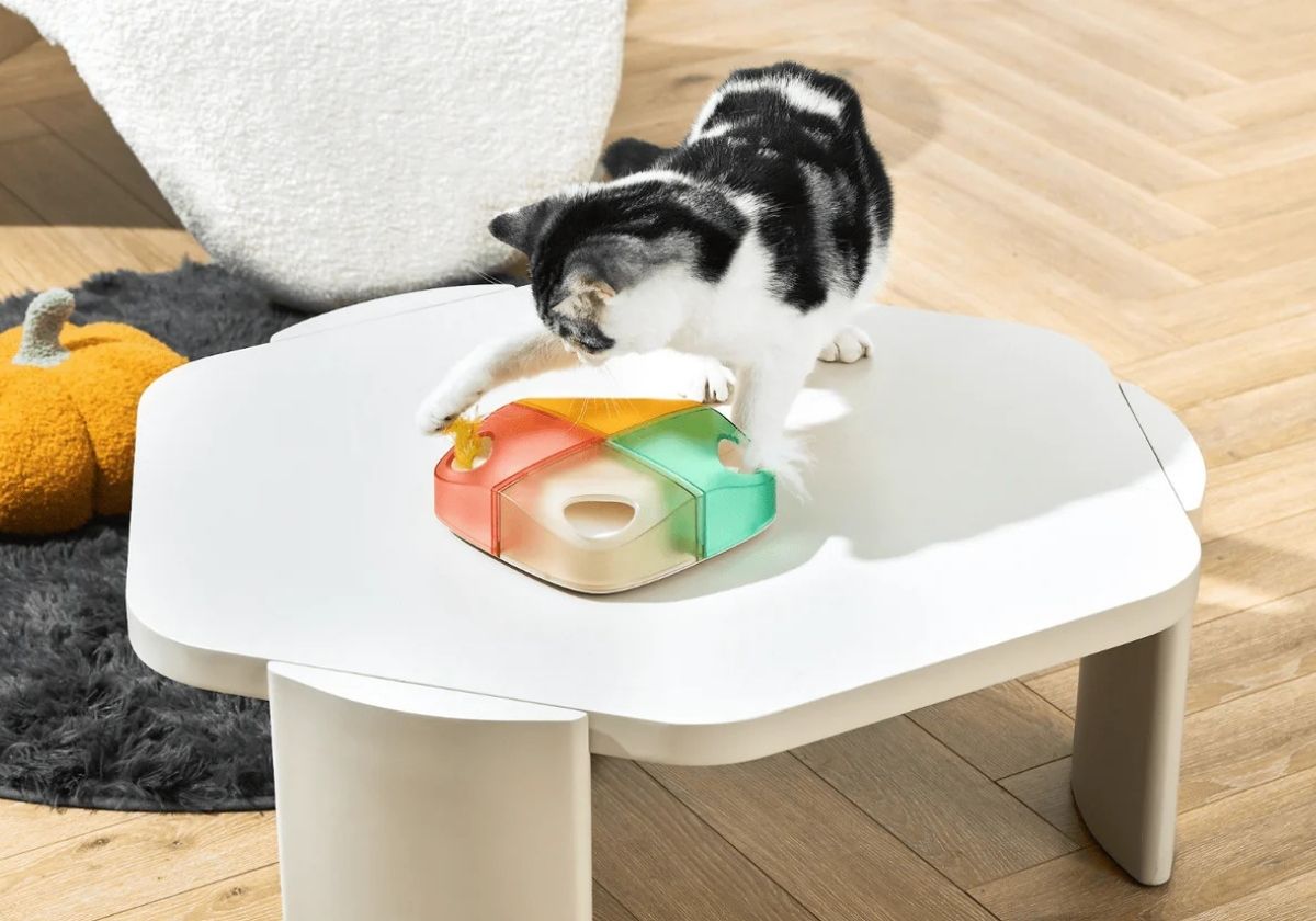İnteraktif Akıllı Kedi Oyuncağı