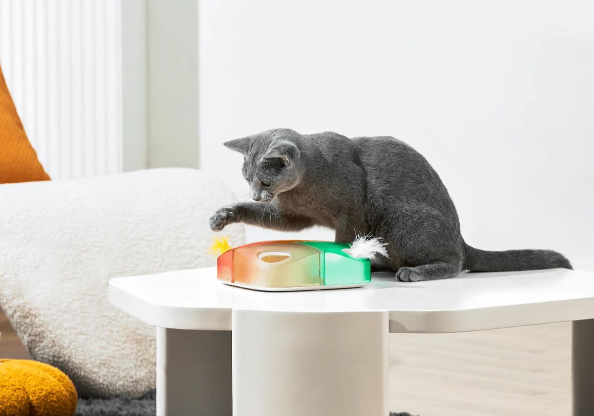 İnteraktif Akıllı Kedi Oyuncağı